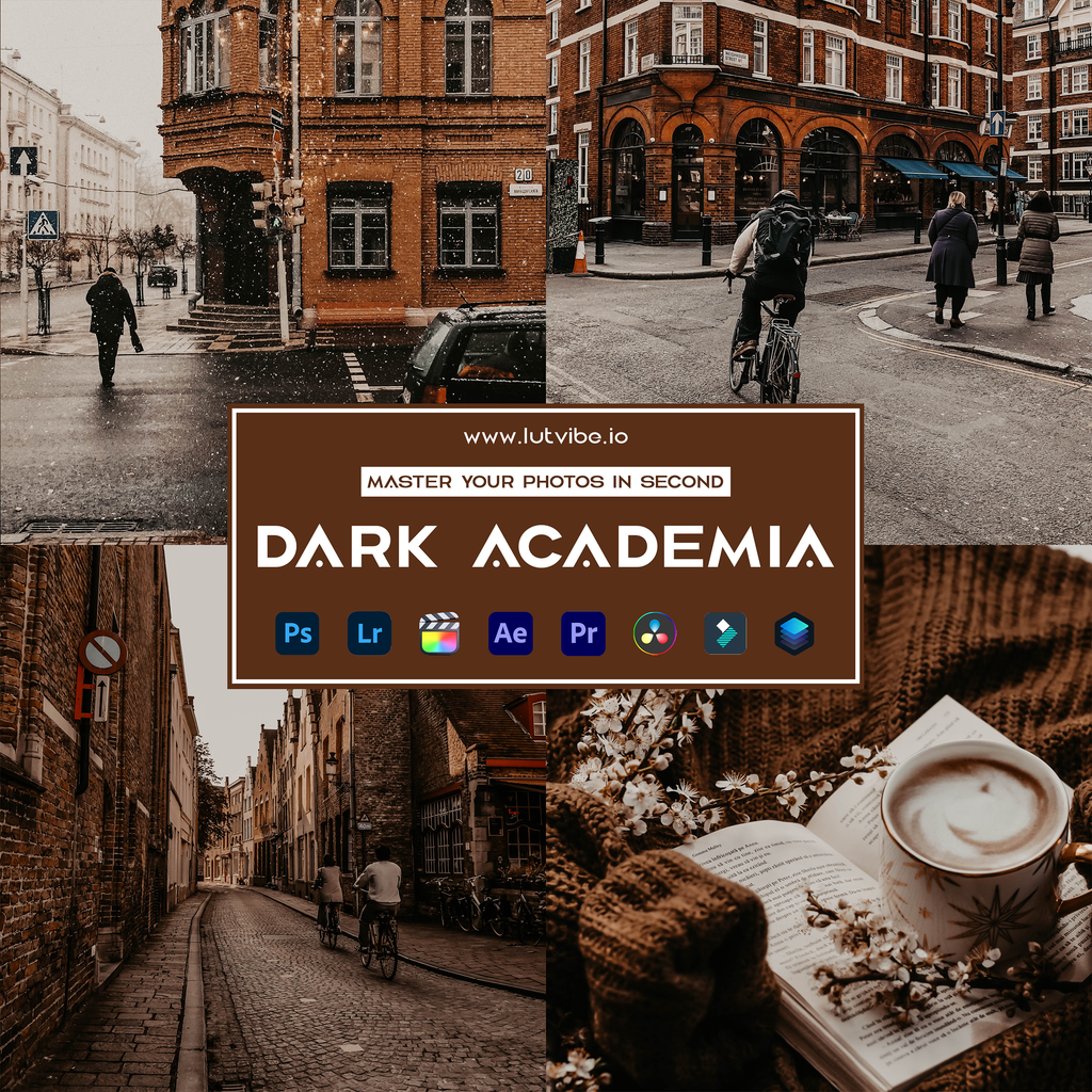 Dark Academia Preset Collection