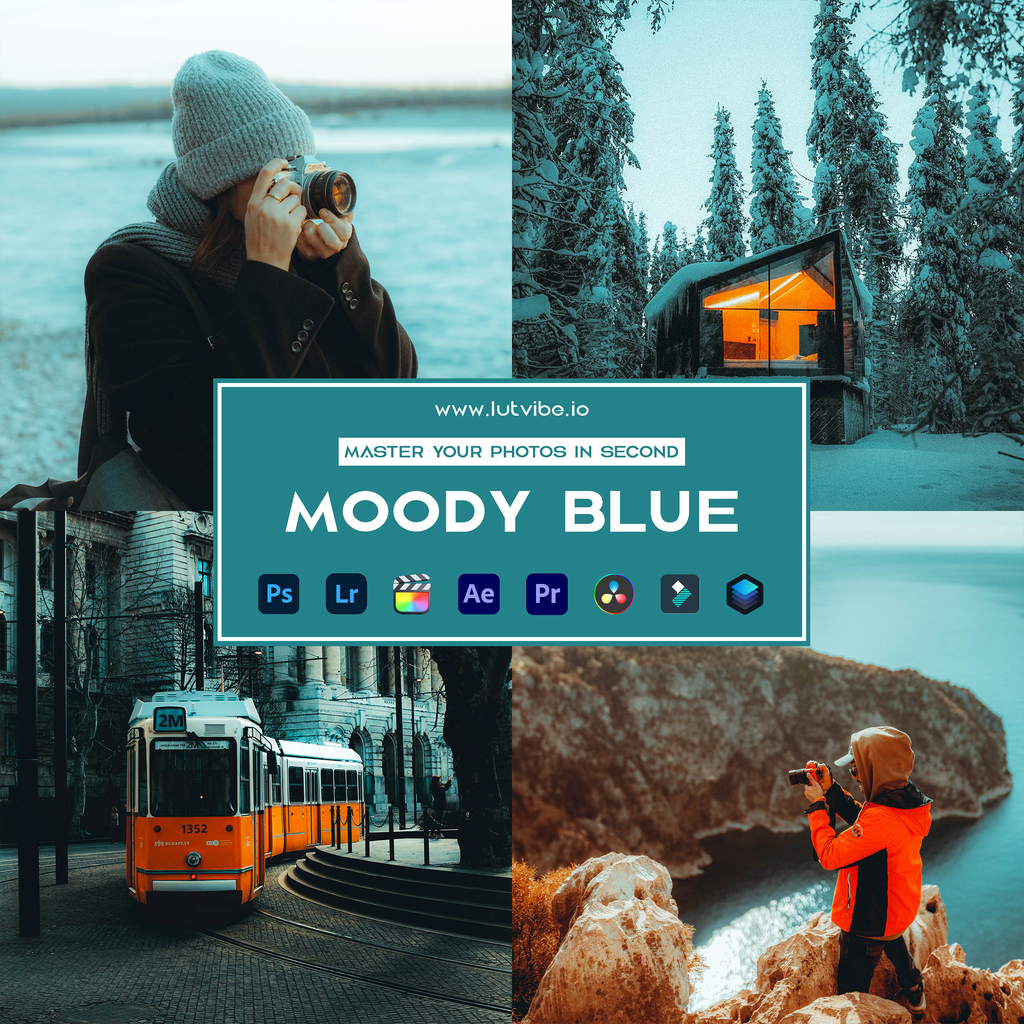 Moody Blue Preset Collection